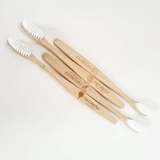 pack-brosses-a-dents-medium