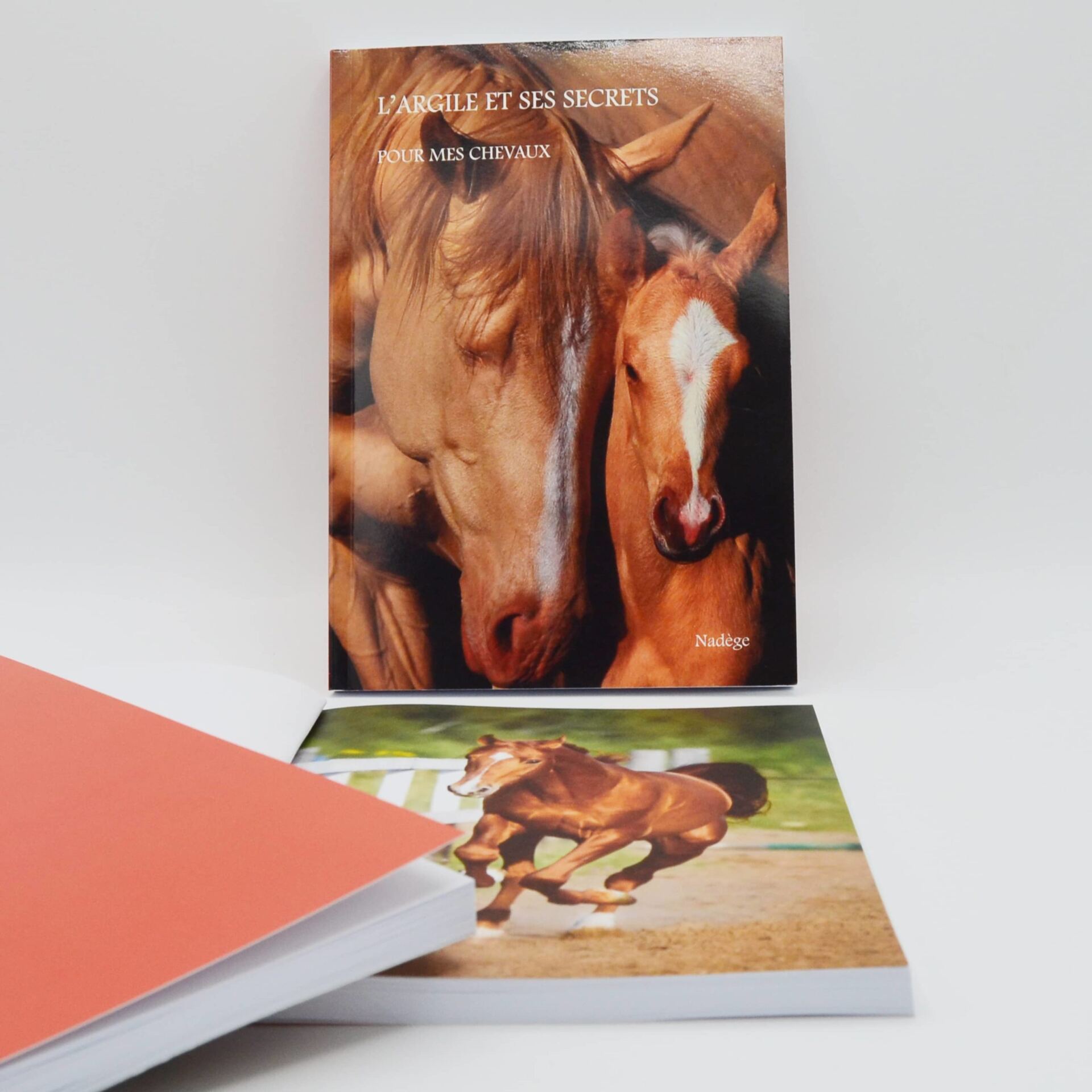 Livre sur l'argile : L'argile et ses secrets pour mes chevaux